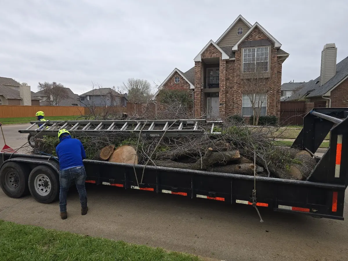 Expert Tree Fertilization with proper safety equipment in San Gregorio